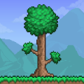 Terraria Terraria Logo