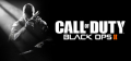 Call of Duty®: Black Ops II Call of Duty®: Black Ops II Logo